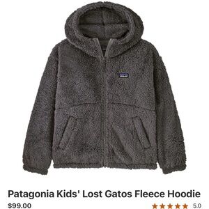Patagonia Kids Los Gatos Grey Fleece Hoodie